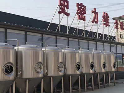 宿州精酿啤酒设备厂—如何判断精酿啤酒设备的密封件需要更换？
